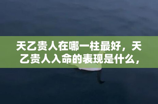 天乙贵人在哪一柱最好，天乙贵人入命的表现是什么，