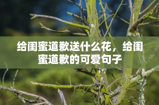 给闺蜜道歉送什么花，给闺蜜道歉的可爱句子