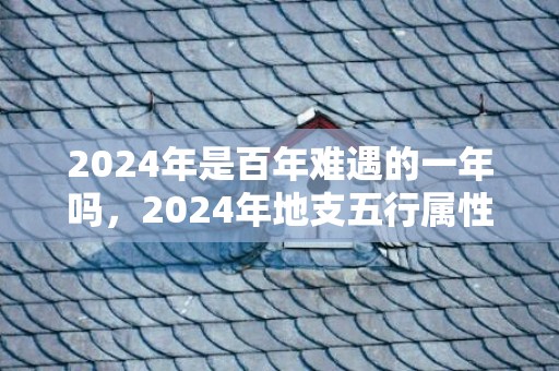 2024年是百年难遇的一年吗，2024年地支五行属性是什么，