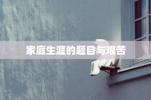 家庭生涯的题目与艰苦