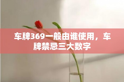 车牌369一般由谁使用，车牌禁忌三大数字