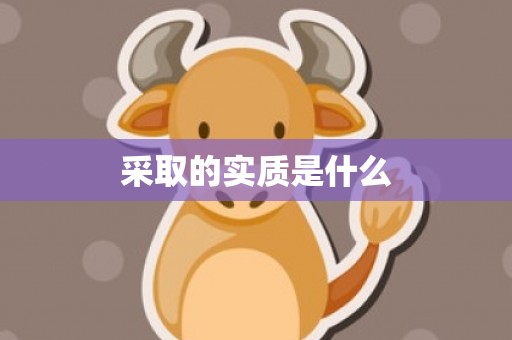采取的实质是什么