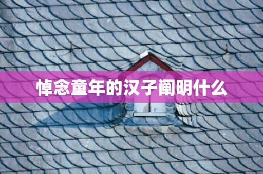 悼念童年的汉子阐明什么