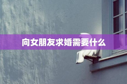 向女朋友求婚需要什么