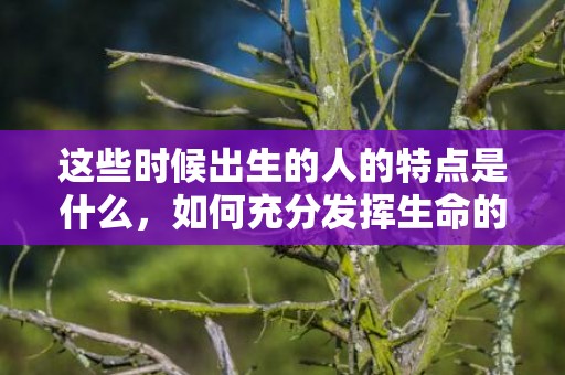 这些时候出生的人的特点是什么，如何充分发挥生命的优势，实现大富大贵