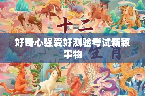 好奇心强爱好测验考试新颖事物