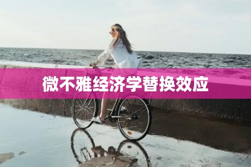 微不雅经济学替换效应