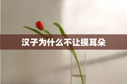 汉子为什么不让摸耳朵