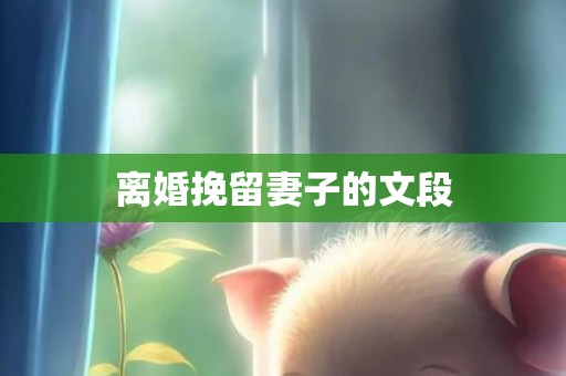 离婚挽留妻子的文段