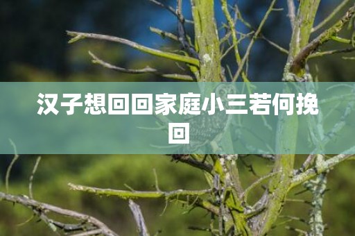 汉子想回回家庭小三若何挽回