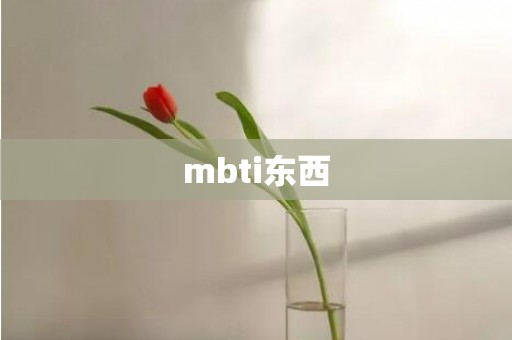 mbti东西