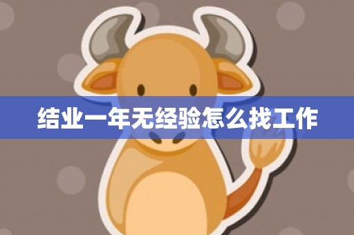 结业一年无经验怎么找工作