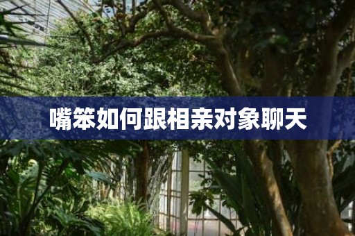 嘴笨如何跟相亲对象聊天