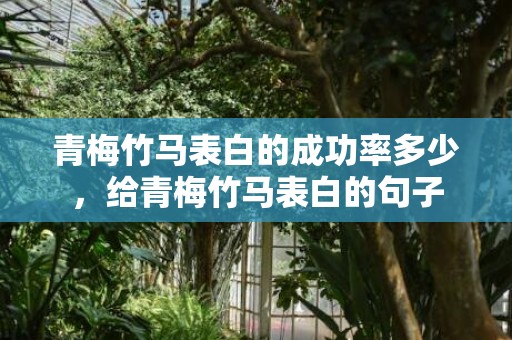 青梅竹马表白的成功率多少，给青梅竹马表白的句子
