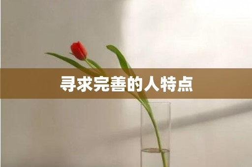 寻求完善的人特点
