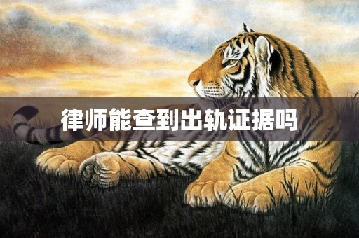 律师能查到出轨证据吗