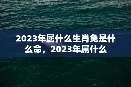 2023年属什么生肖兔是什么命，2023年属什么