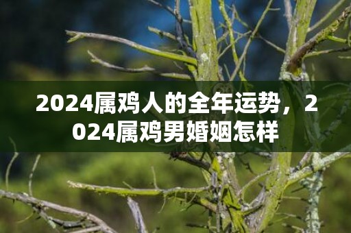 2024属鸡人的全年运势，2024属鸡男婚姻怎样