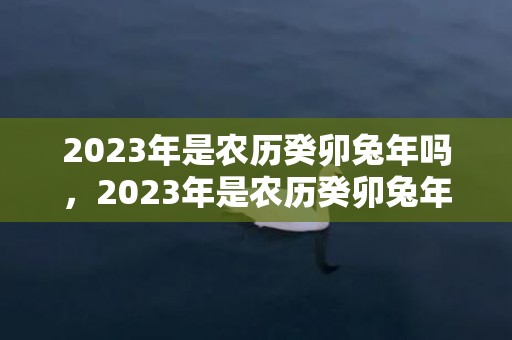 2023年是农历癸卯兔年吗，2023年是农历癸卯兔年吗