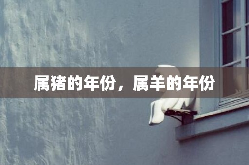 属猪的年份，属羊的年份