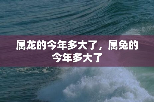 属龙的今年多大了，属兔的今年多大了