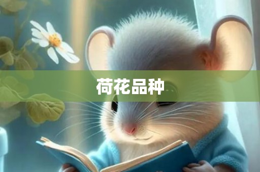 荷花品种