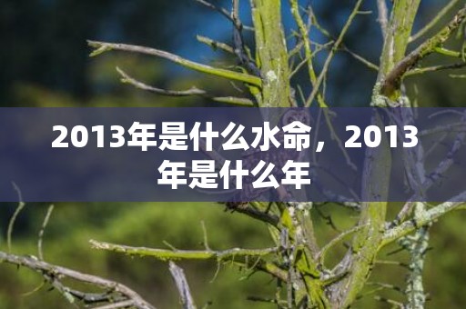 2013年是什么水命，2013年是什么年