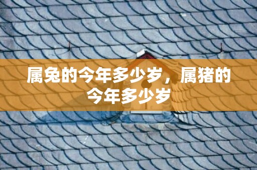 属兔的今年多少岁，属猪的今年多少岁