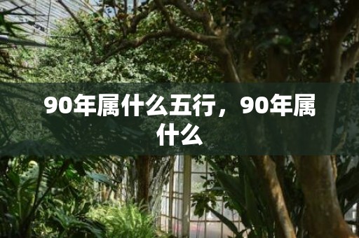 90年属什么五行，90年属什么