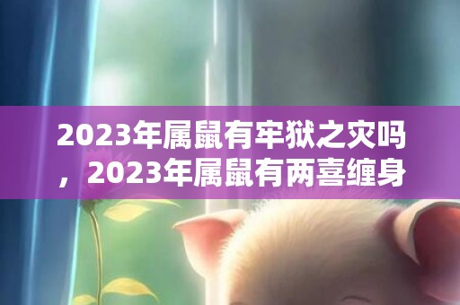 2023年属鼠有牢狱之灾吗，2023年属鼠有两喜缠身