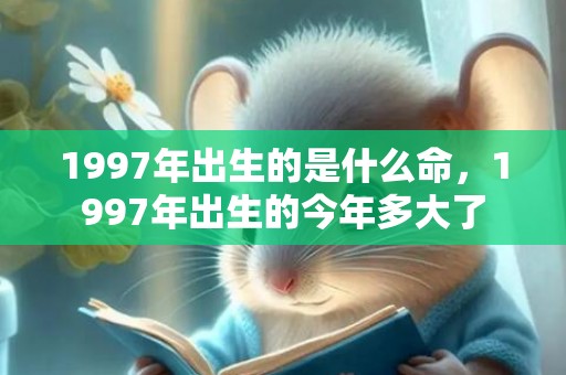 1997年出生的是什么命，1997年出生的今年多大了