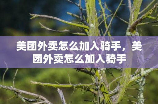 美团外卖怎么加入骑手，美团外卖怎么加入骑手