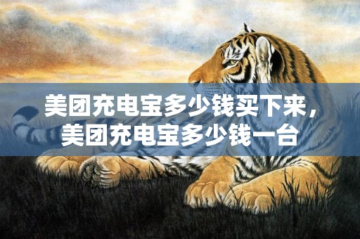 美团充电宝多少钱买下来，美团充电宝多少钱一台