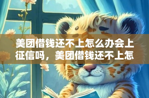 美团借钱还不上怎么办会上征信吗，美团借钱还不上怎么办