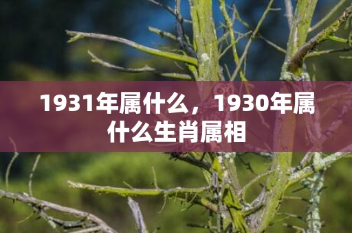 1931年属什么，1930年属什么生肖属相