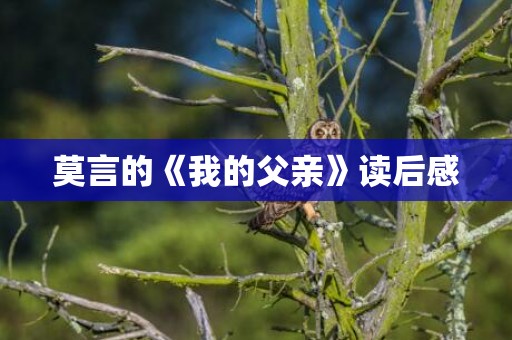 莫言的《我的父亲》读后感