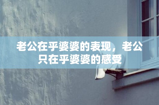 老公在乎婆婆的表现，老公只在乎婆婆的感受