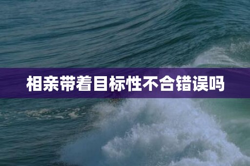 相亲带着目标性不合错误吗