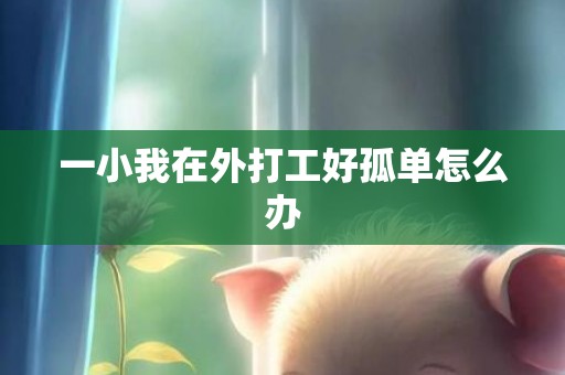 一小我在外打工好孤单怎么办