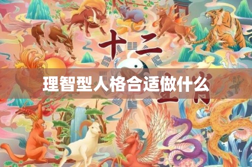 理智型人格合适做什么