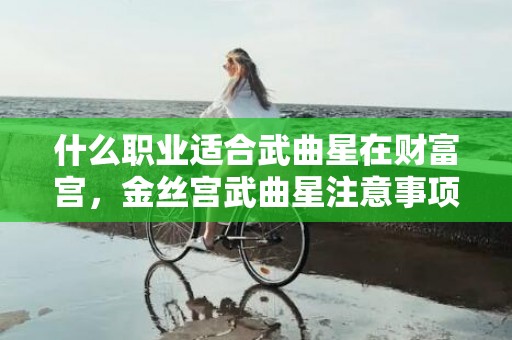 什么职业适合武曲星在财富宫，金丝宫武曲星注意事项