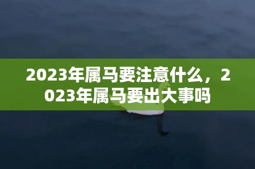 2023年属马要注意什么，2023年属马要出大事吗