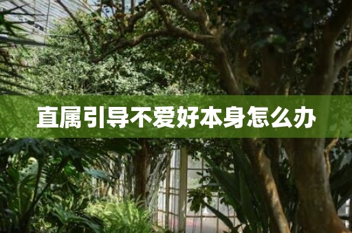 直属引导不爱好本身怎么办