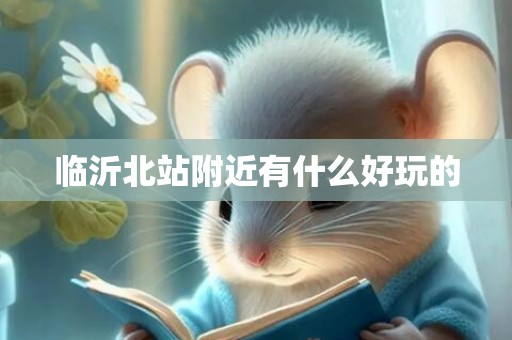 临沂北站附近有什么好玩的