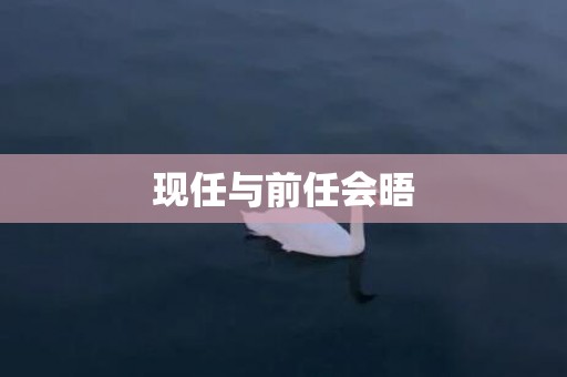 现任与前任会晤