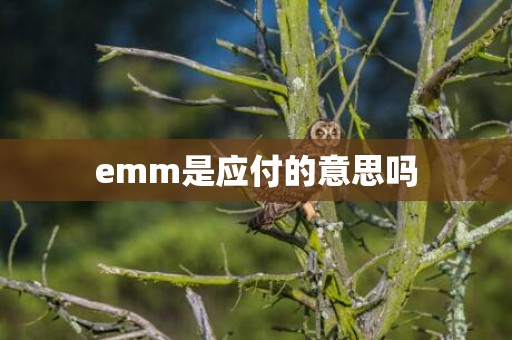 emm是应付的意思吗