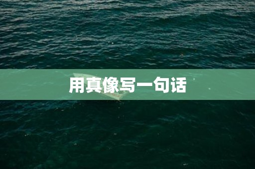 用真像写一句话