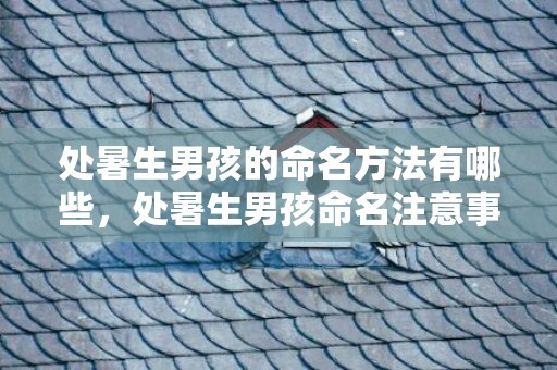 处暑生男孩的命名方法有哪些，处暑生男孩命名注意事项