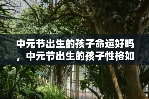 中元节出生的孩子命运好吗，中元节出生的孩子性格如何，