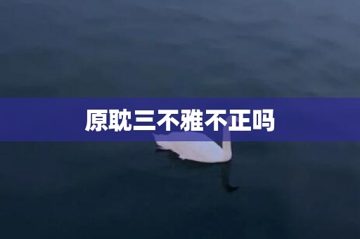 原耽三不雅不正吗